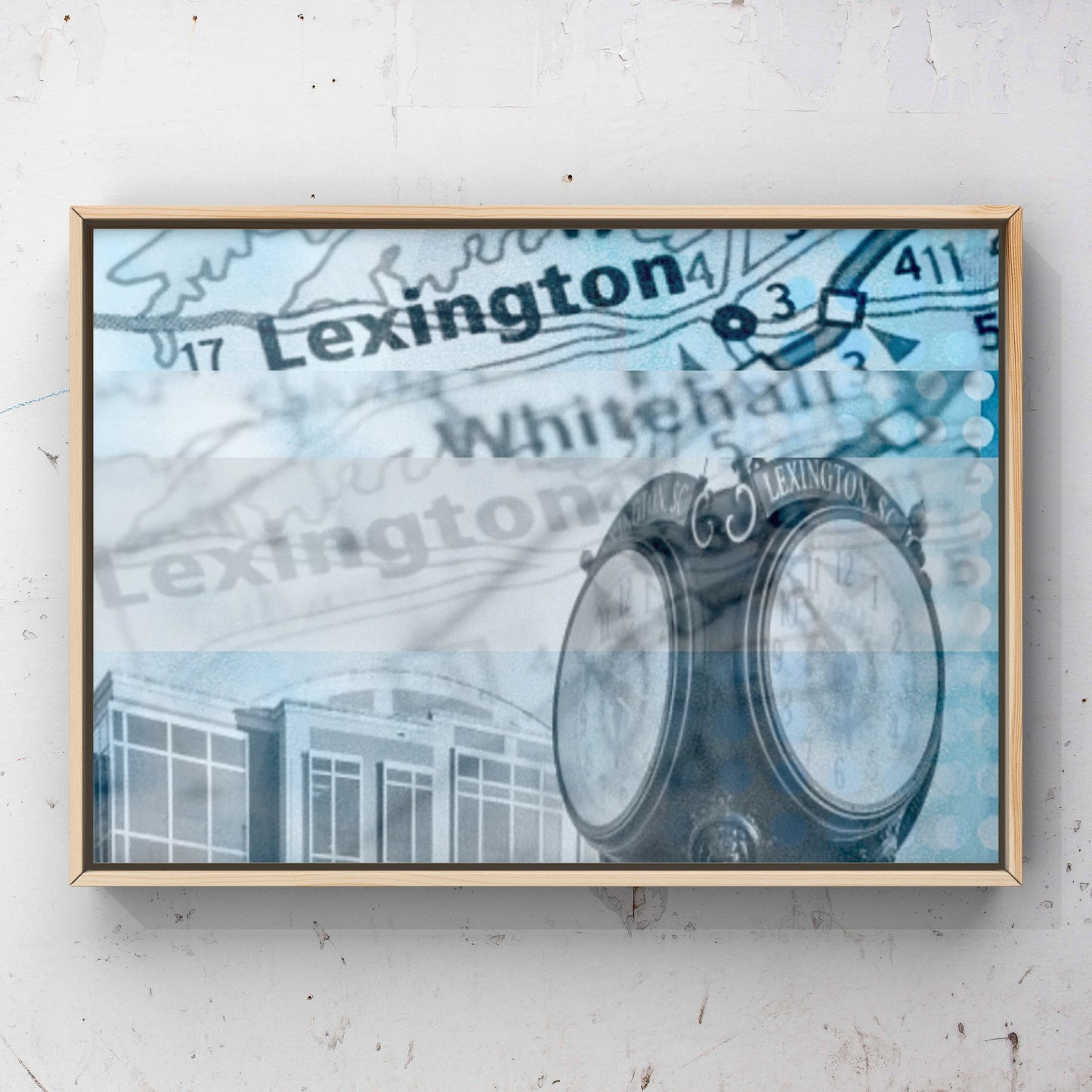 Lexington Pediatrics Pop Art Lobby Series of 4                 (framing and installation included)